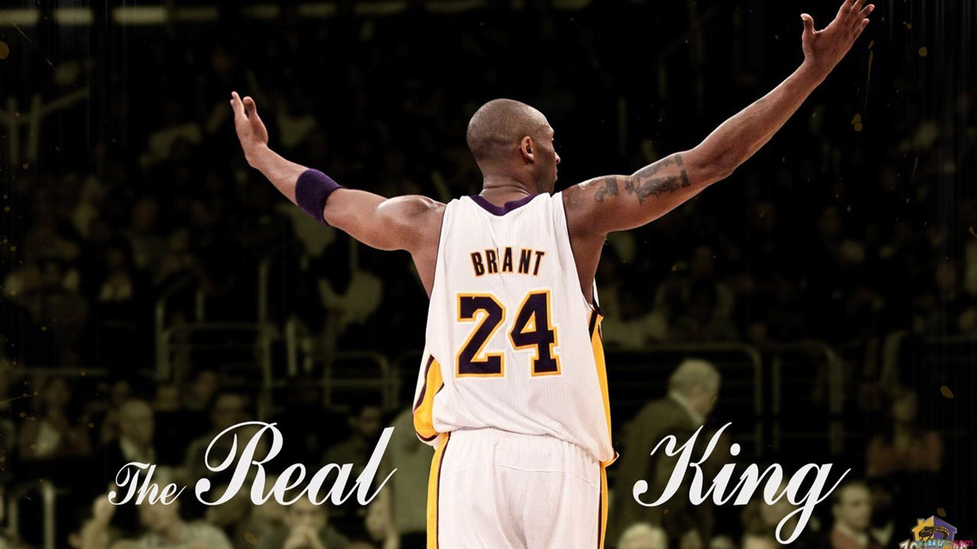 《ApexLegends》“极夜突袭”地图全面升级,战术层出不穷!