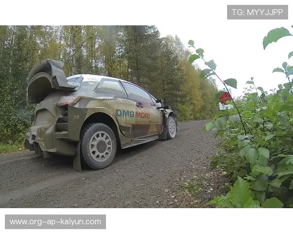 WRC新轮胎技术：提升性能的关键因素，wingr轮胎